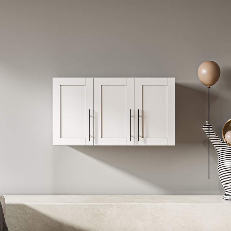 Ebern Designs Wall Mounted Storage Cabinet | Wayfair